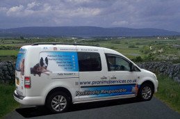 Pet Taxi